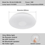 Modern LED  Remote control Ceiling Lamp