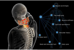 Tourmaline Self-heating Neck Brace